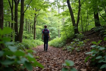 Explorer la forêt de Mormal à travers ses coordonnées GPS 50.389169, 3.853723