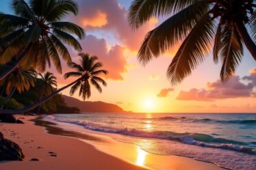 À quelle heure tombe la nuit en Martinique ? Horaires et informations